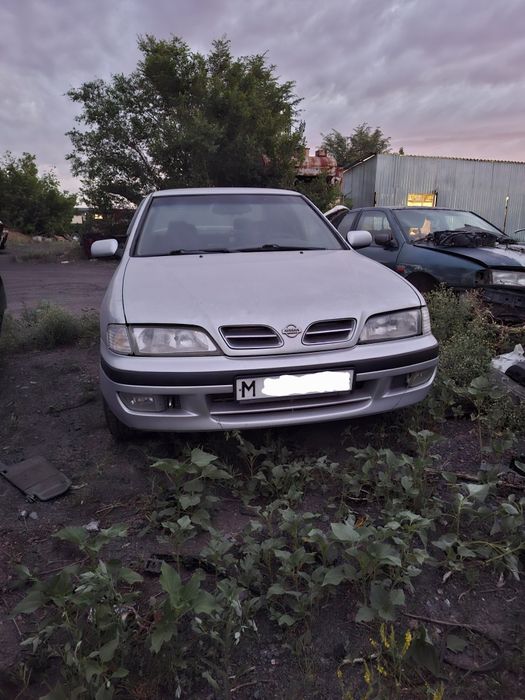 Primera P11 На запчасти