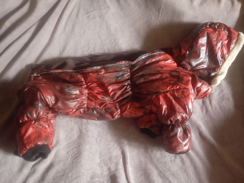 Продам собачий комбинезон