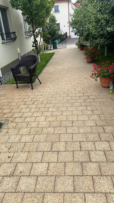 Montaj pavaj și grădini