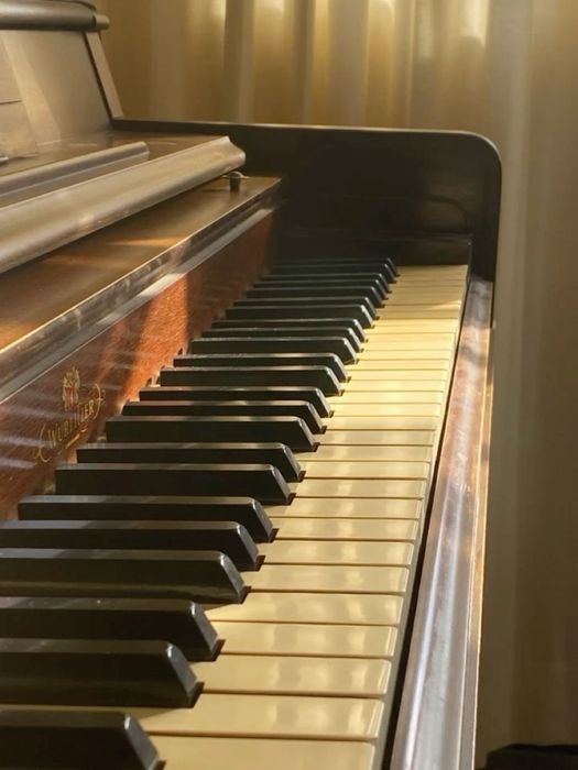 Репетитор по фортепиано и гитаре