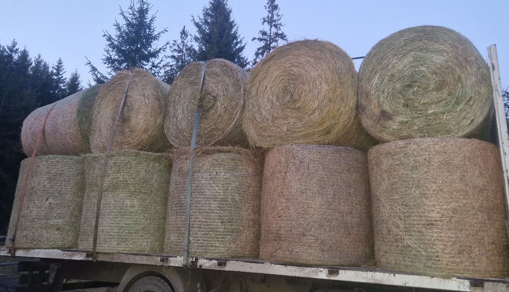 Baloții de fân si otavă ROTUNZI SAU PĂTRAT