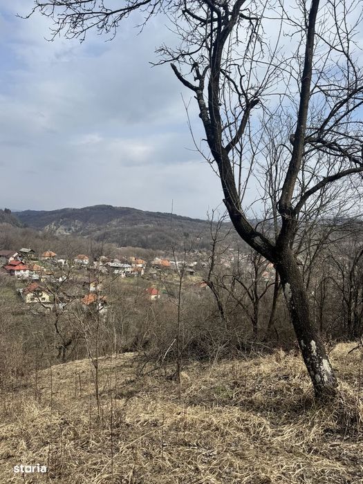 Ocazie! Teren 4830 mp la Godeni, aproape de Campulung Muscel