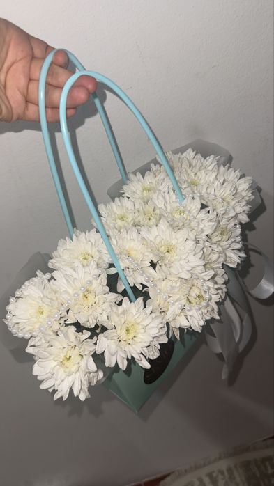 Цветы хризантема