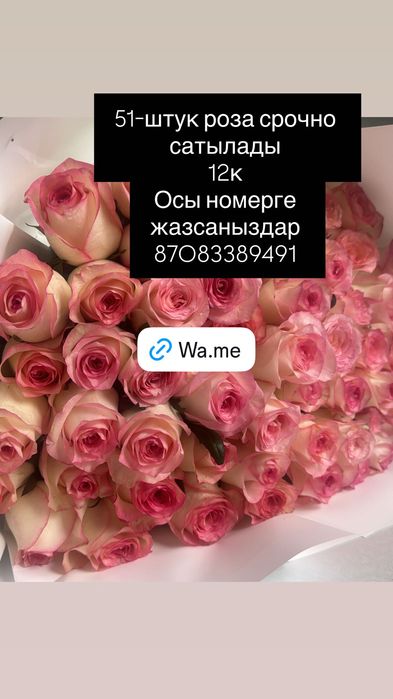 51шт роза цветыы