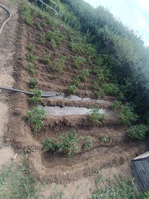 Дача ПК горняк  .