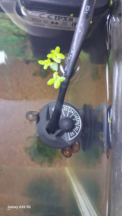 Улитки катушки недорого