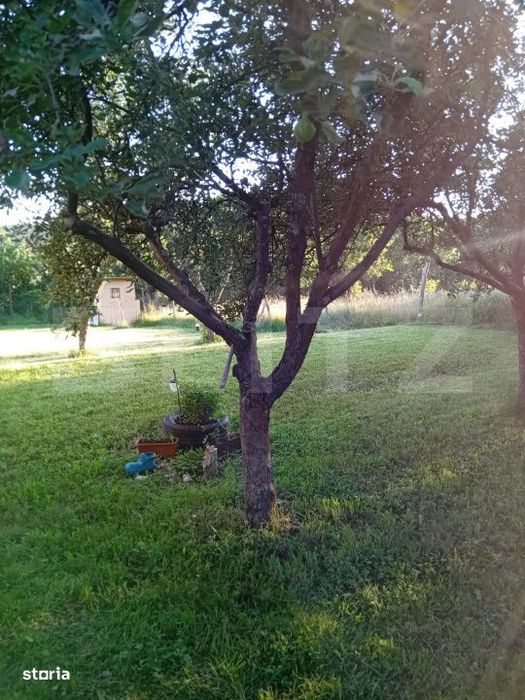 Teren + cabana pe piloi, 661 mp, zona Almasu Sec