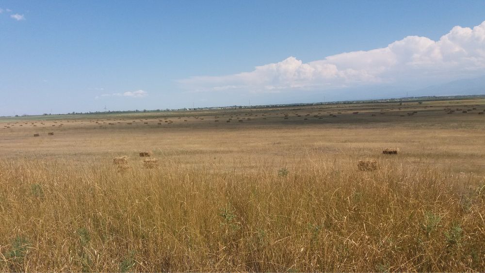 Земельный участок 1,26 гектар