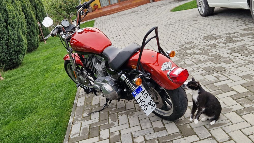 Harley Davidson Superlow XL Sportster 883 L