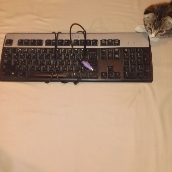 Клавиатуры новые в рабочем отличном состоянии.