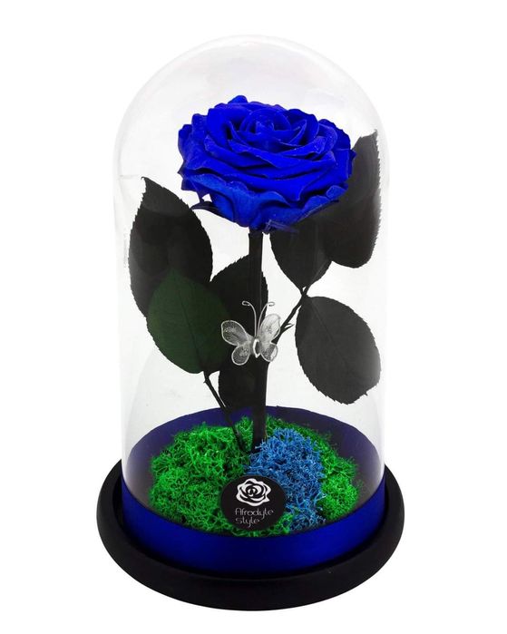 Aranjamente trandafiri criogenati