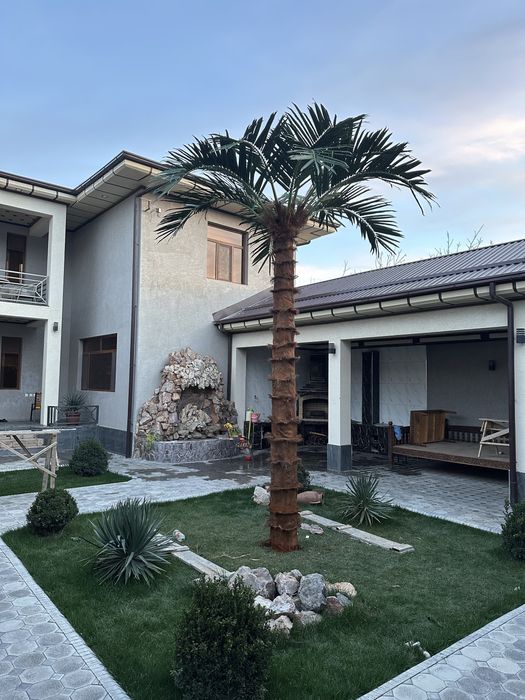 Farg‘ona | Dubay uslubidagi palma 3m–8m — 5 xil tur! -25%