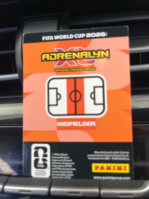 Panini World Cup card 2026
