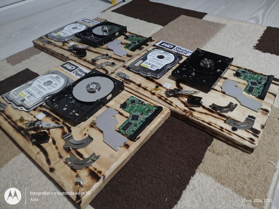 Tablou Decorativ Tech / Handmade – Hard Disk Dezasamblat Western Digital (Design Industrial / Geek Art)