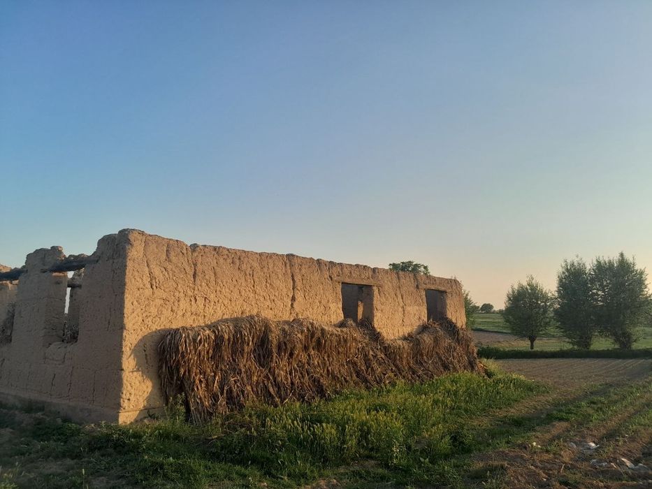 Yer Sotiladi 15 Sotx Chinoz Tumani Paxta Maxalasi
