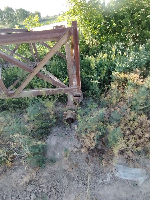 Dlinibaza  holati alo darajada