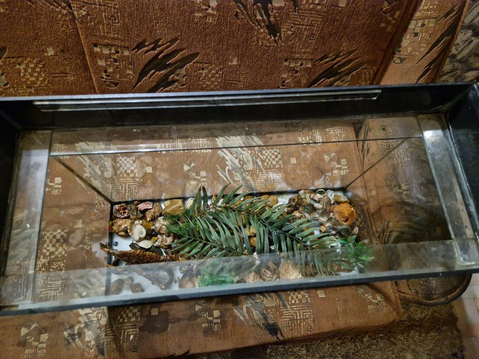 Аквариум для рыбок