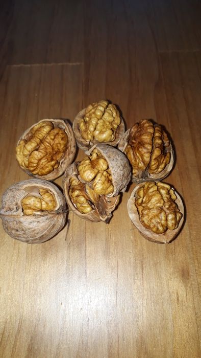 Продам грецкий орех