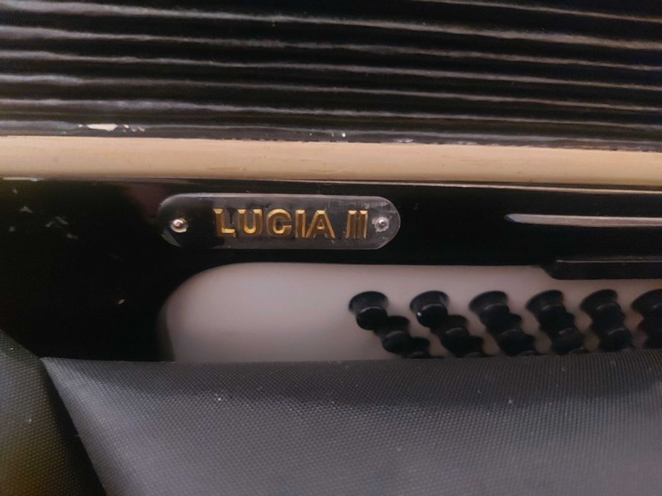 Hohner Lucia 2 80баса