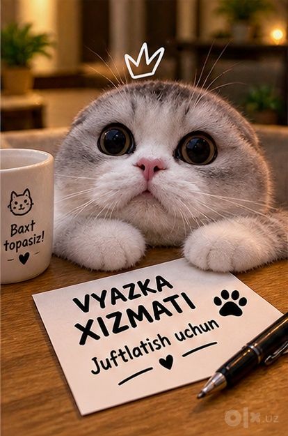 Vyazkaga (juftlash uchun) zotli mushuk
