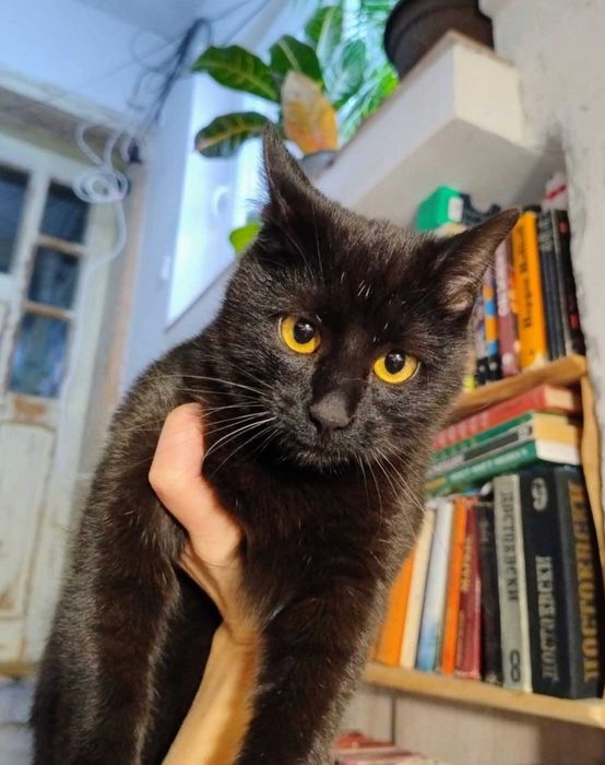 1-годишно момченце от Враца търси ДОМ