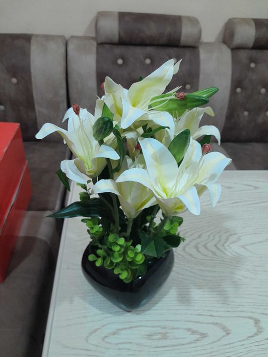 Dekorativniy suniiy gullar