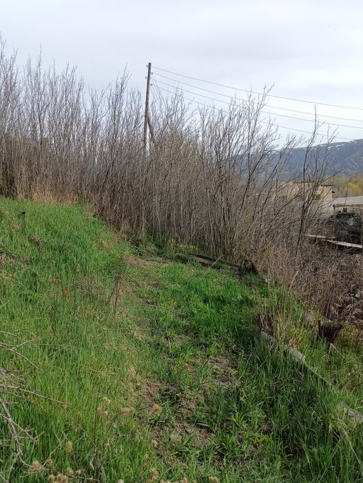 Продается 2 участка