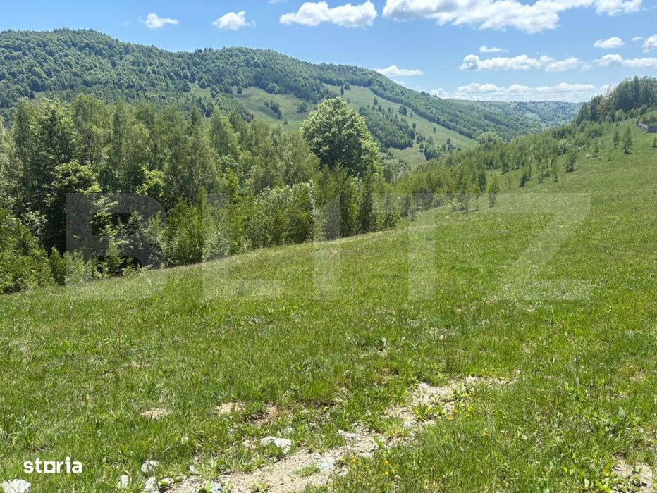 Teren Construibil - Muntele Baisorii , 1000mp