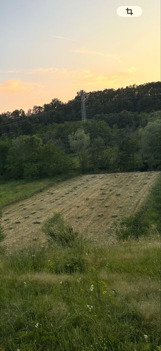 Vand baloti fan productie 2025