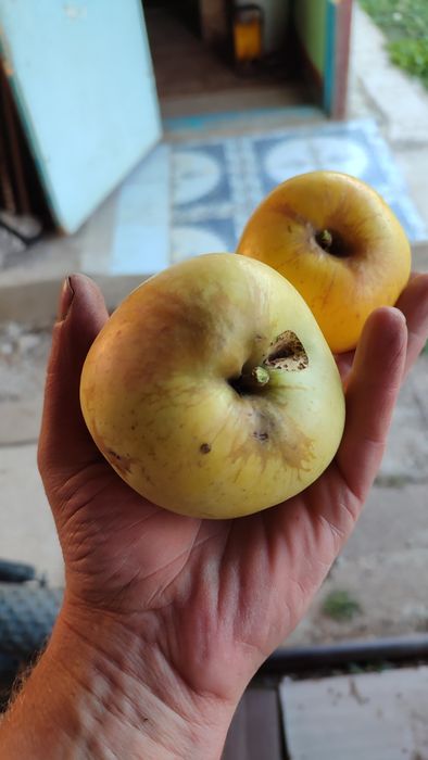 продам дачу ПК рассвет