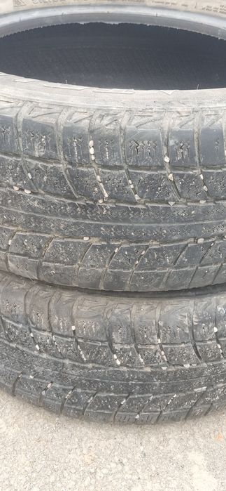 Резина зимняя TRIANGLE