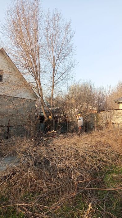 Срубим деревя,большые кусты