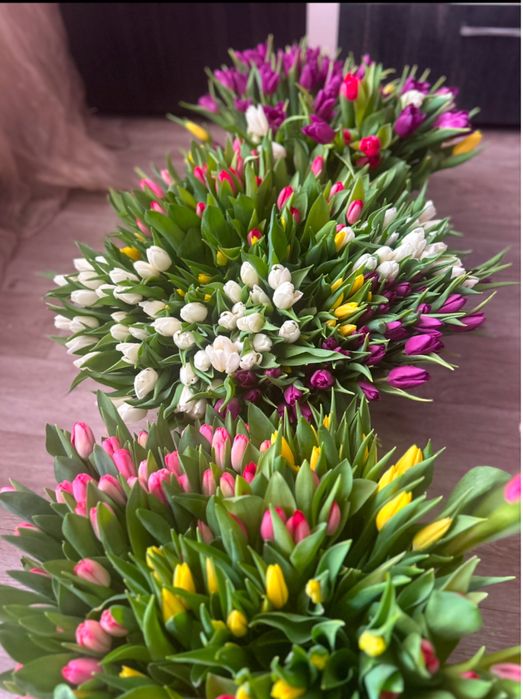 Тюлпаны предзаказ 650 тенге