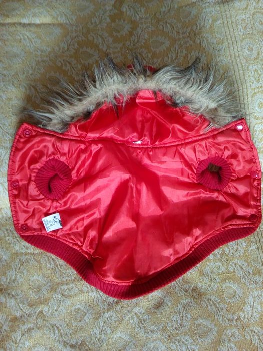 Грейка, якенце за куче