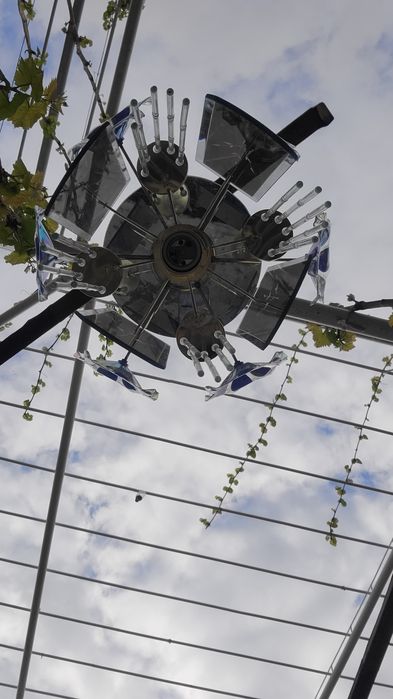 Лустра 8 дона холати  яхши