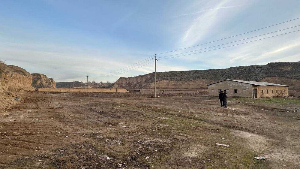 Ферма 80 сўтих. Манзил Тошкент вилояти, Пискент тумани.