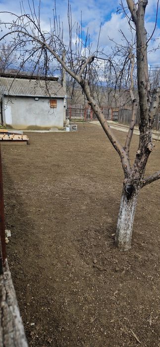 Grădinărit/Gazon/Irigații