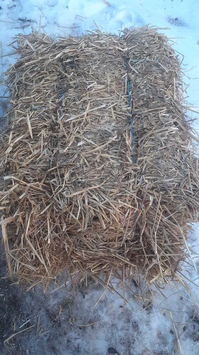 De vanzare baloti de paie pret 7 lei balotu