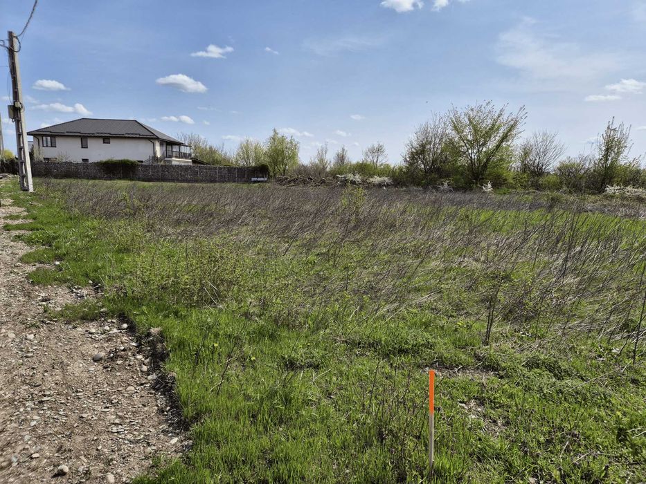 Teren intravilan 741 mp – Casa cu Tei 2, Cocani / Crevedia