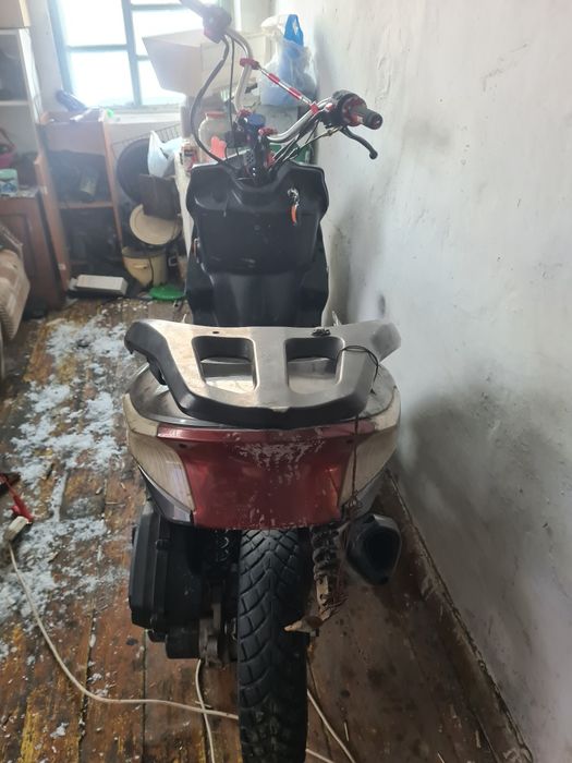 Продам мопед м10