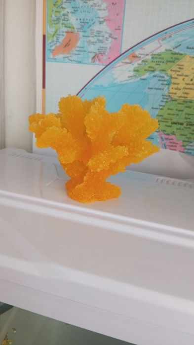 Аквариум с рыбами