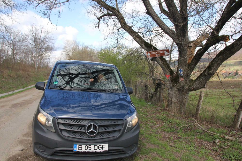 Mutari si transport cu duba