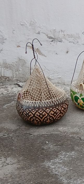 Bedana qovoqlari naqishli