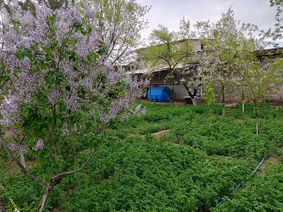 Срочно продаётся дача