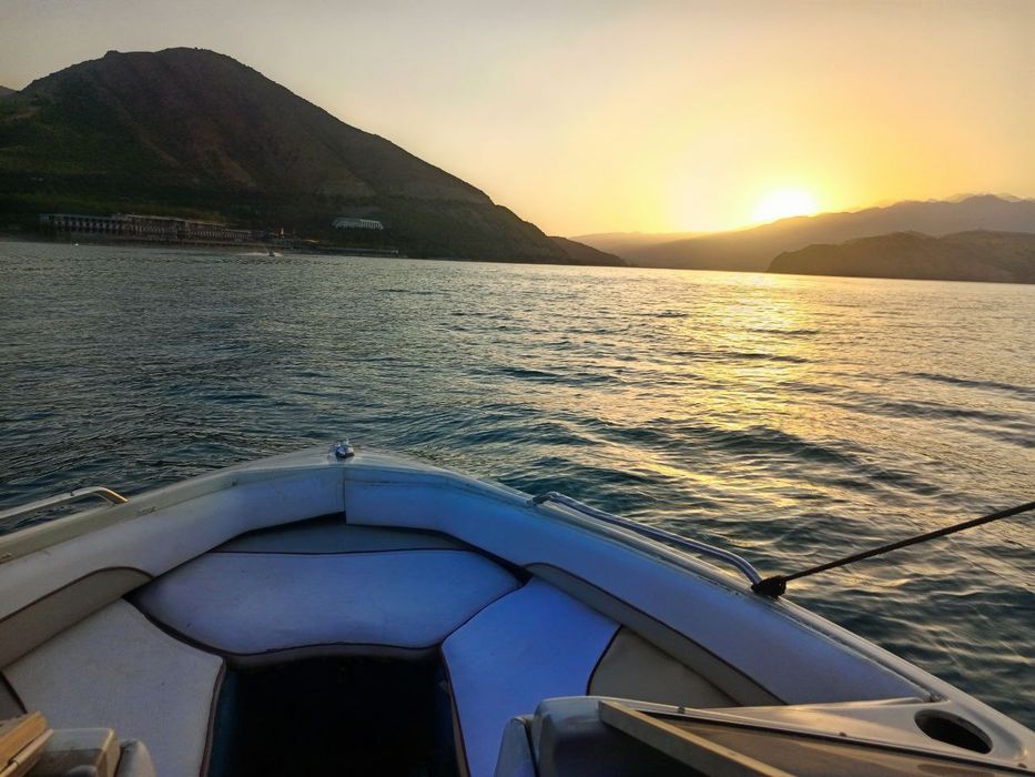 Katter sotiladi  Zor xolatda