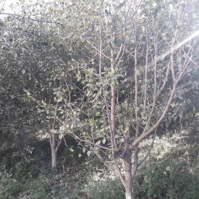 Продаётся дом 5 соток