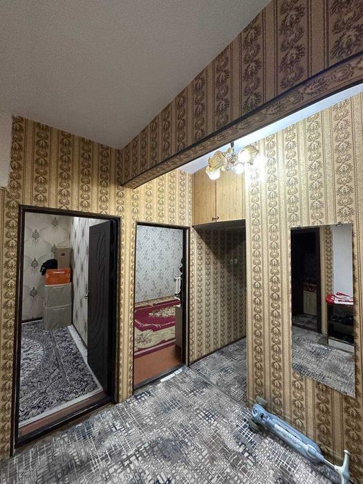 Qora qamish 2/1 4/2/4