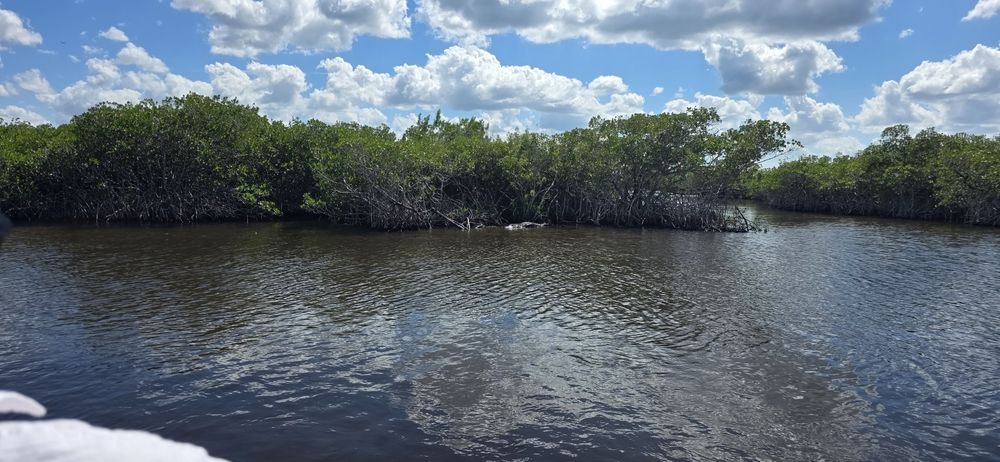 Cielo pentru program rabla