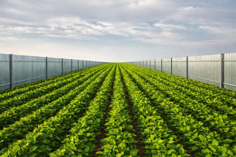 Здам землю в аренду