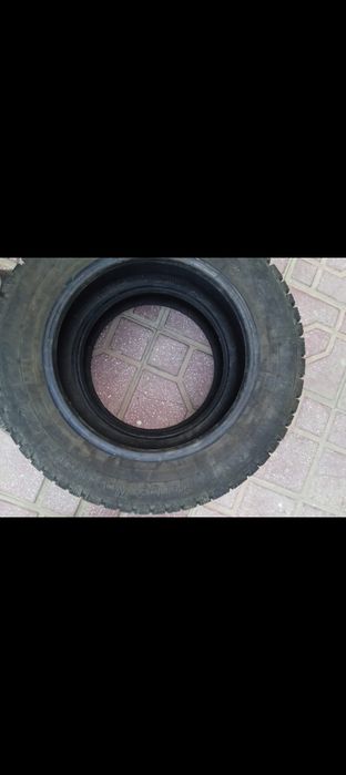 Зимний балон для машина